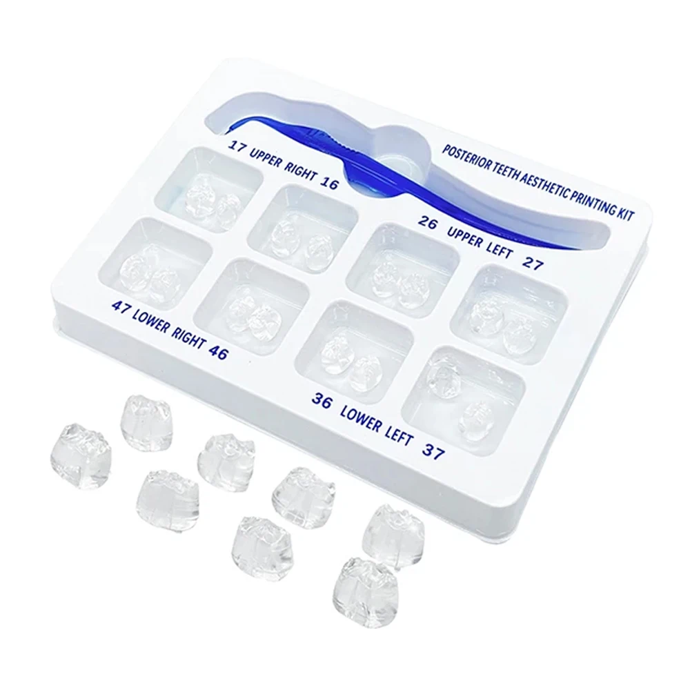 New Dental Posterior Teeth Aesthetic Printing Mould Kit For Light Cure Composite Restoration Filling Tools