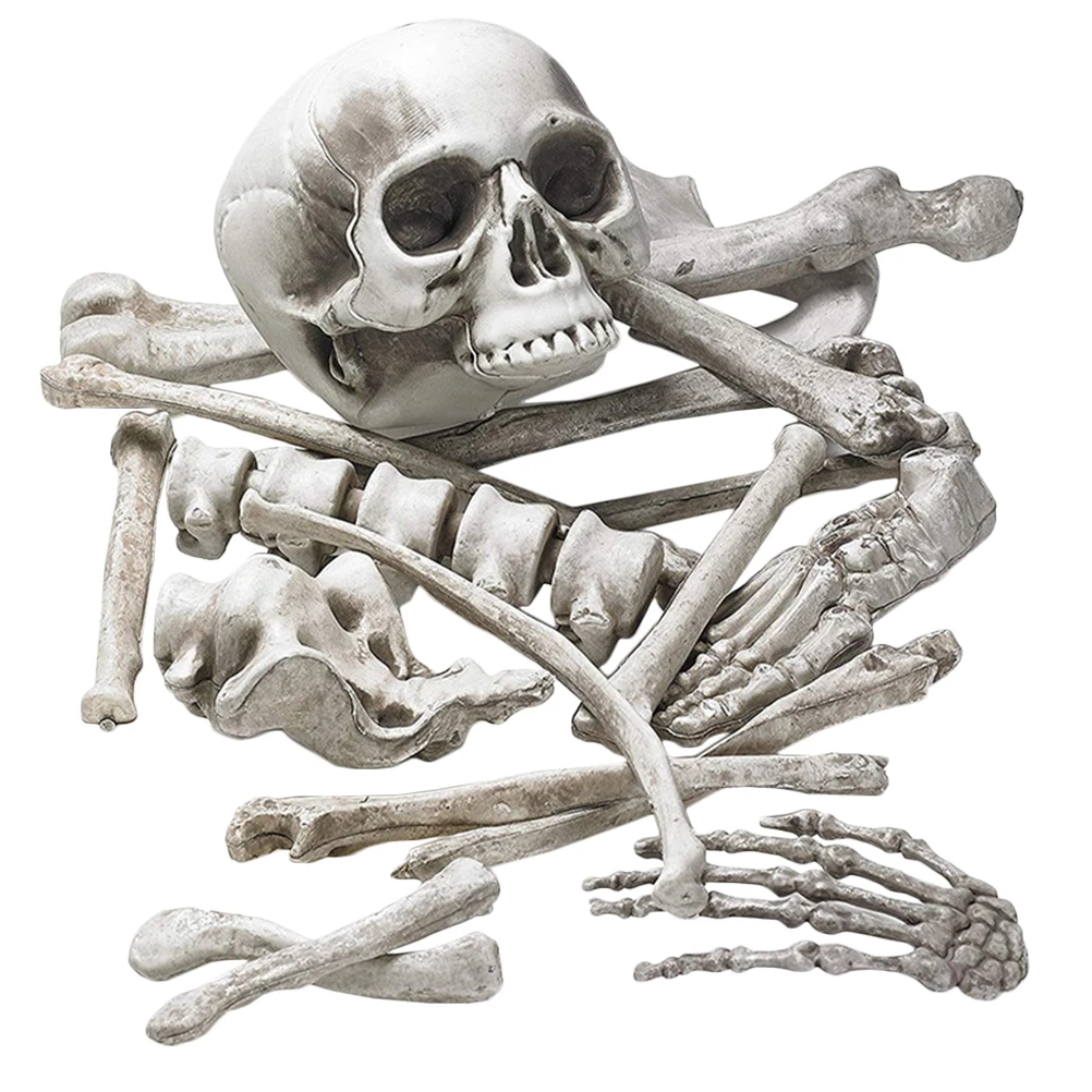 

1pcs 19 White Bones Set Simulation Human Body Decor for Halloween Party Graveyard SceneHaunted House Plastic Bone Props