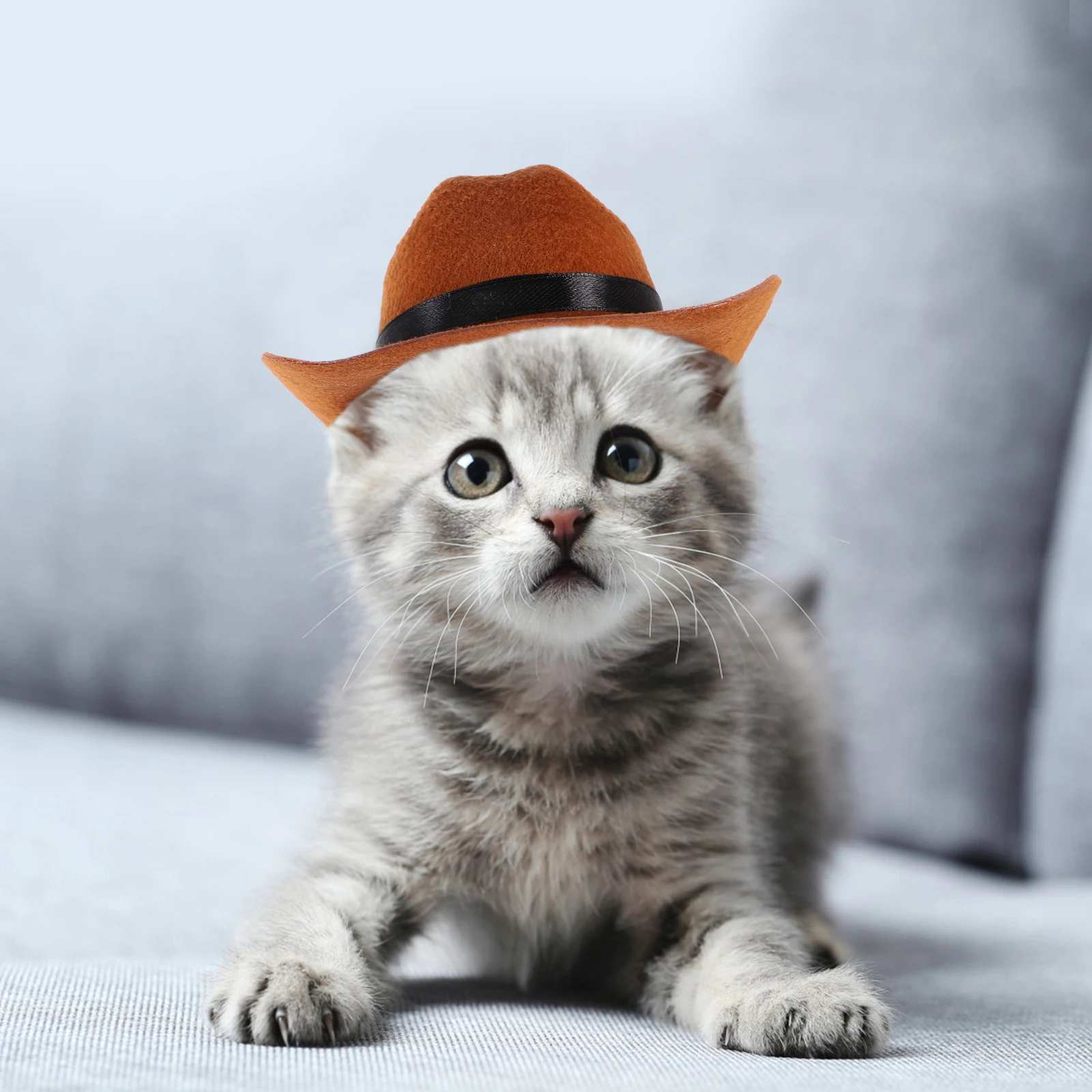 

2 Pcs Cowboy Hat Pet Jewelry Hats for Dogs Cat Party Supplies Accessories Cotton Summer