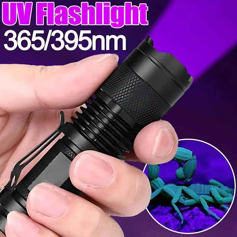 Mini UV Flashlight 395/365nm LED Ultraviolet Torch Zoomable Ultra Violet Lights Inspection Lamps Pet Urine Stain Detector Light