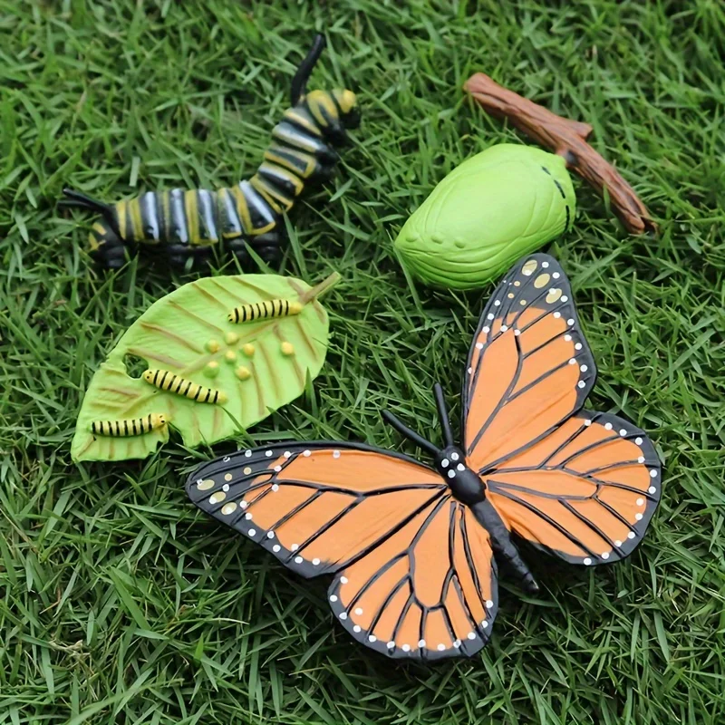 Butterfly Life Cycle Kit para Crianças e Estudantes, Lifestyle, Stages of Monarch, Ferramentas de Ensino, 4 peças