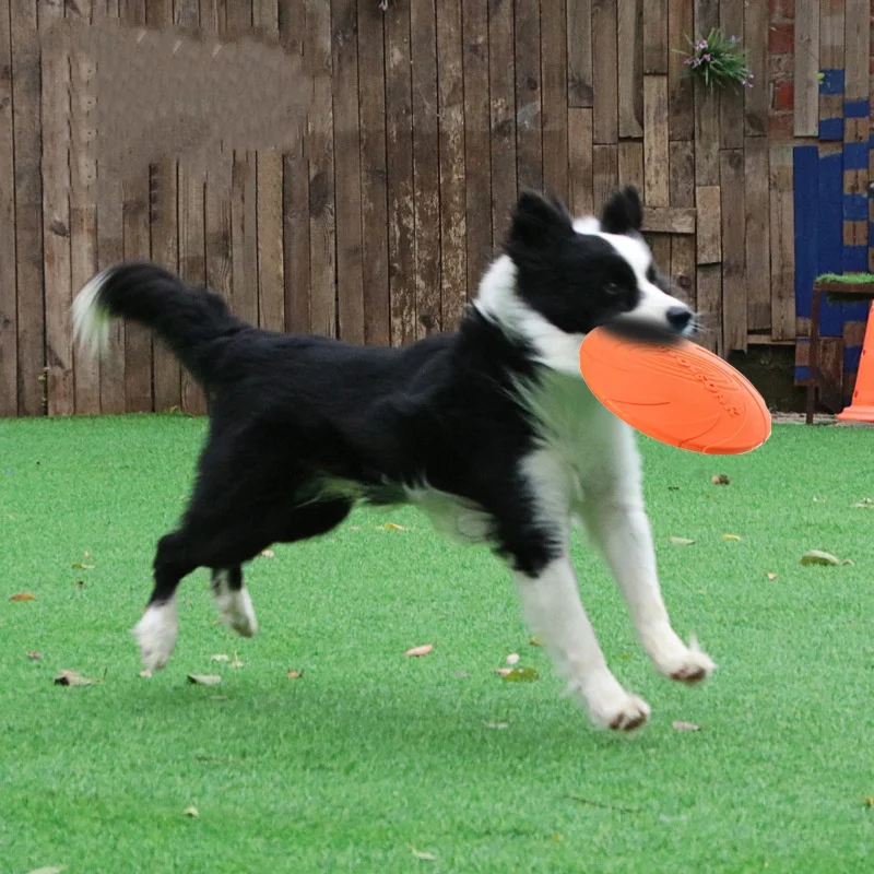 Thumbnail 2 - #61 Top Rated Dog Toys to Buy in 2026