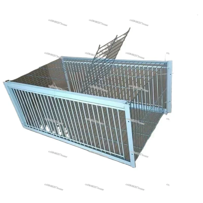 Big Foldable Galvanised Pigeon Bird Trap Cage Feral Pigeon Humane Way with The One-way Entrance Trapping Pigeons Doves in Cages