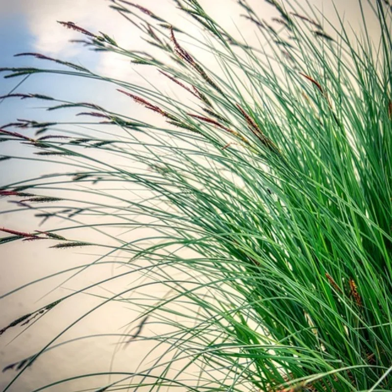 

Используется для WLtoys 1/10 104006 104010 104020 104026, детали радиоуправляемого автомобиля, металлическое обновление, полная автомобильная рулевая тяга