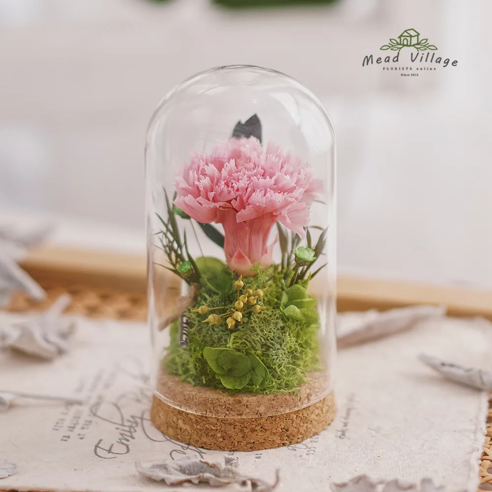 Forever Flowers DIY Material Kit Wishing Bottle Carnation Valentine's Day Mother's Day DIY Romantic Gifts Gift Decorations