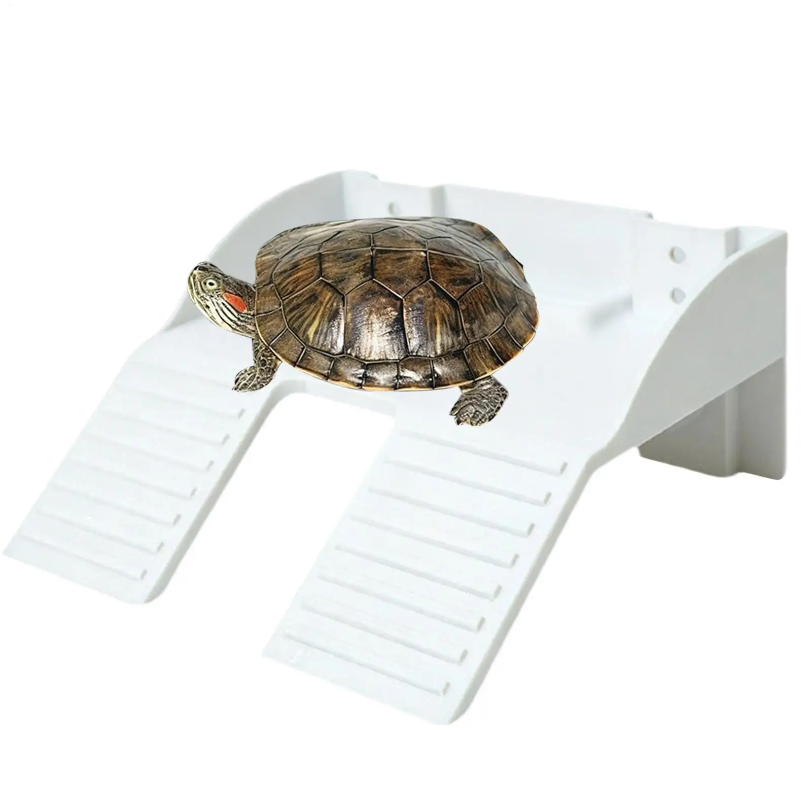 

Turtle Tank Accessories With Food Holder Ramp Aquarium Decor Basking Area For Turtle Tank For Climbing Enrichment Resting