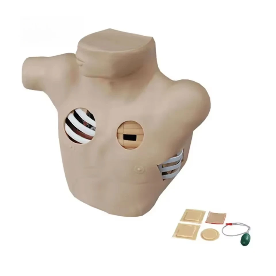 Medical Science Thoracic (Back) Puncture Training Model Nursing Human Model Puncture Drainage Training Medical emulator
