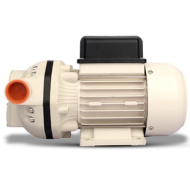 

Chemical Diaphragm Electric Adblue Pump Electric Chemical Adblue Pump for Urea Adblue DC 12V AC 220V Motor
