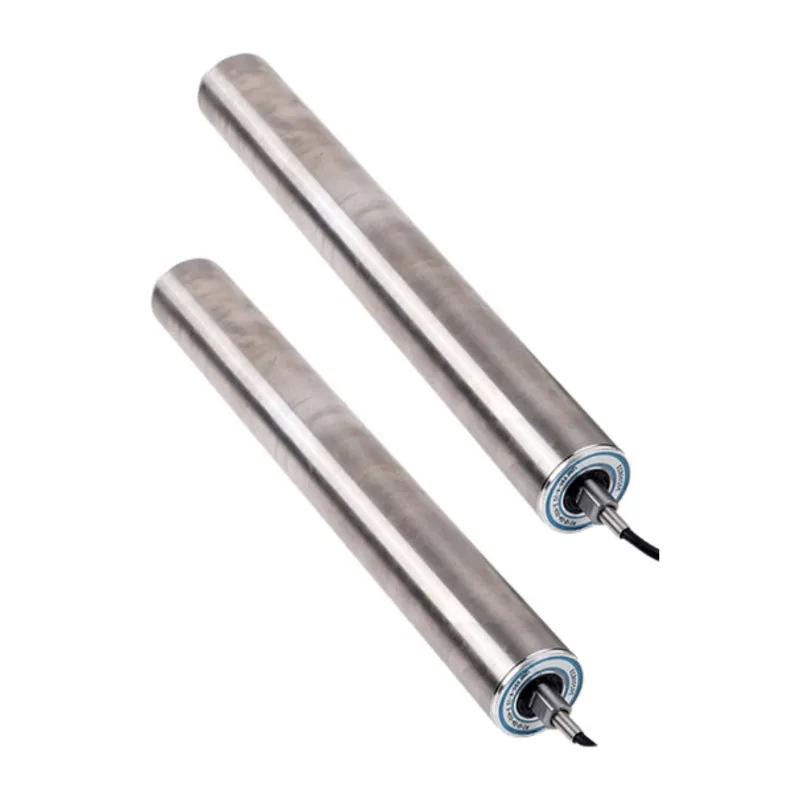 

Industrial Spare Parts Transmission Parts Specialized Roller Conveyor Line For Prepackaged Food Packaging Line Speed Control