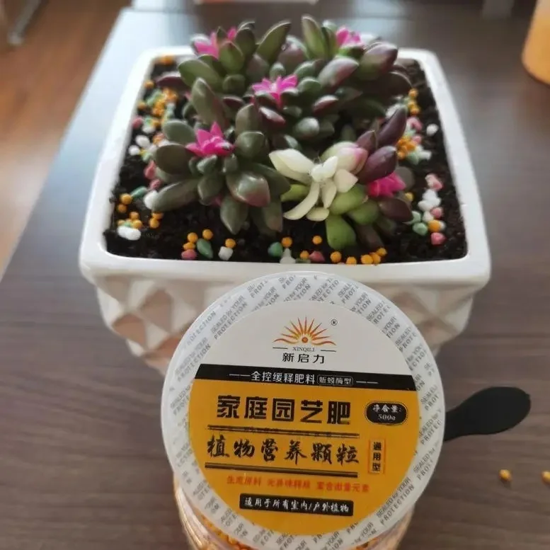 500g General-purpose Npk Compound Fertilizer Organic Granular Colorful Slow-release Fertilizer For Home Gardening view 3