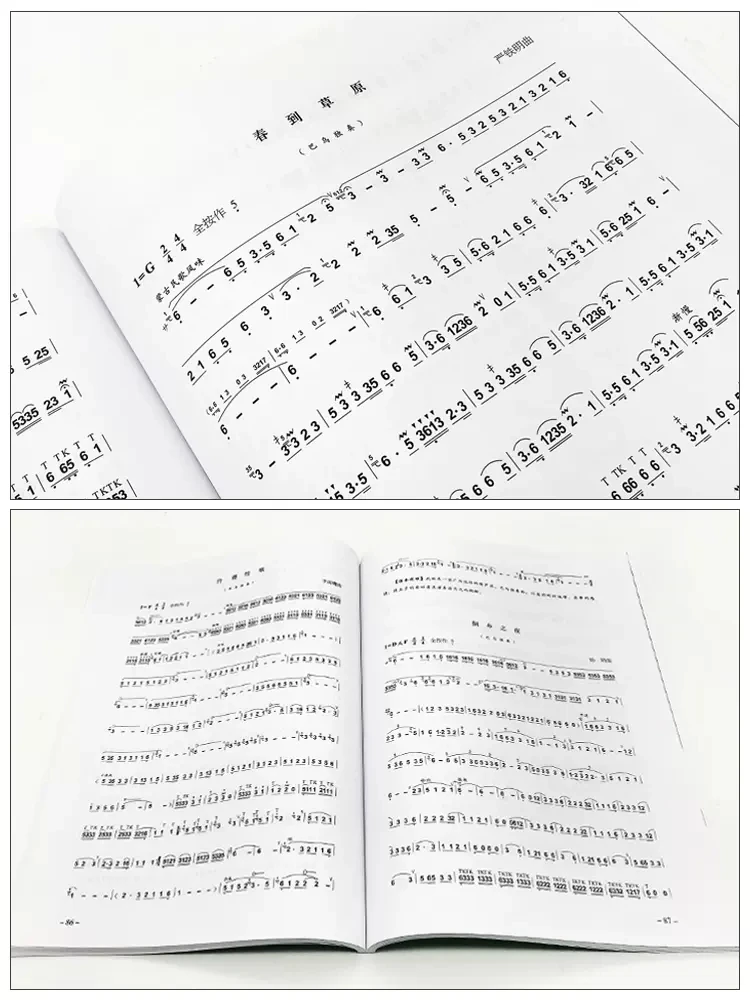 Practical Tutorial of Hulusi Bawu Li Chunhua Tutorial Book Easy Learning of Chinese Music - cucurbit flute Music Book