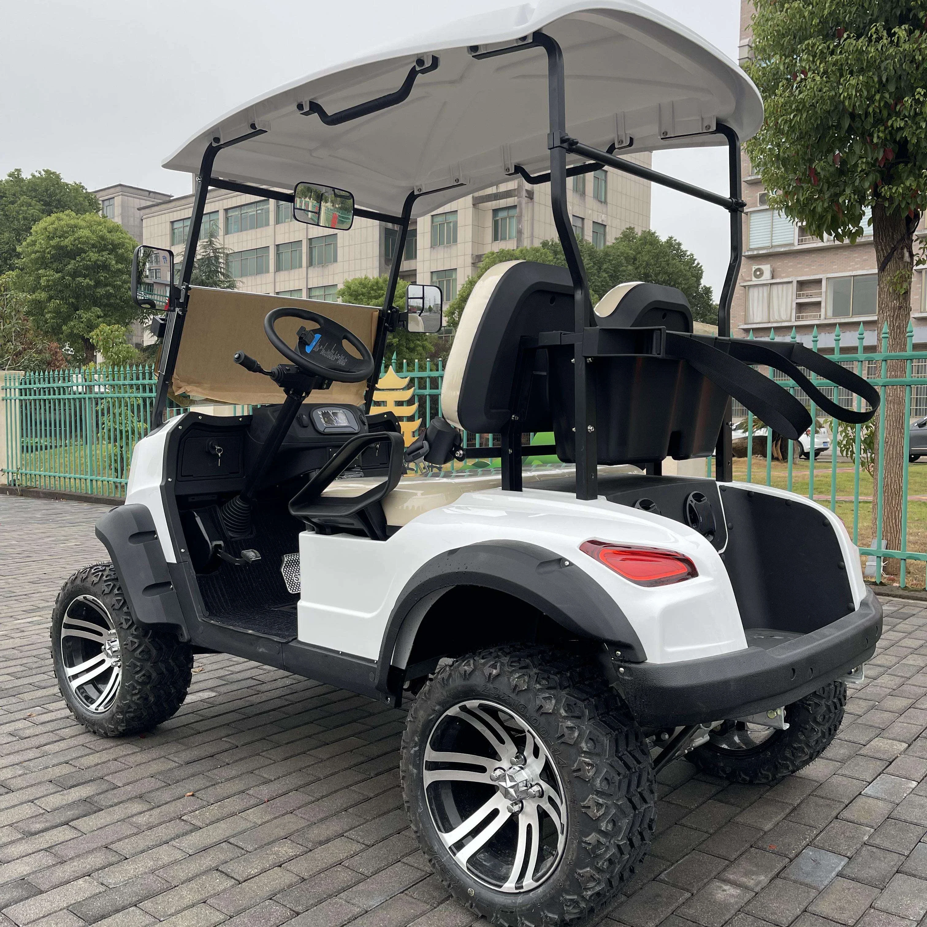 2 Seater Electric Golf Carts,golf Cart Battery,off Road Golf Carts