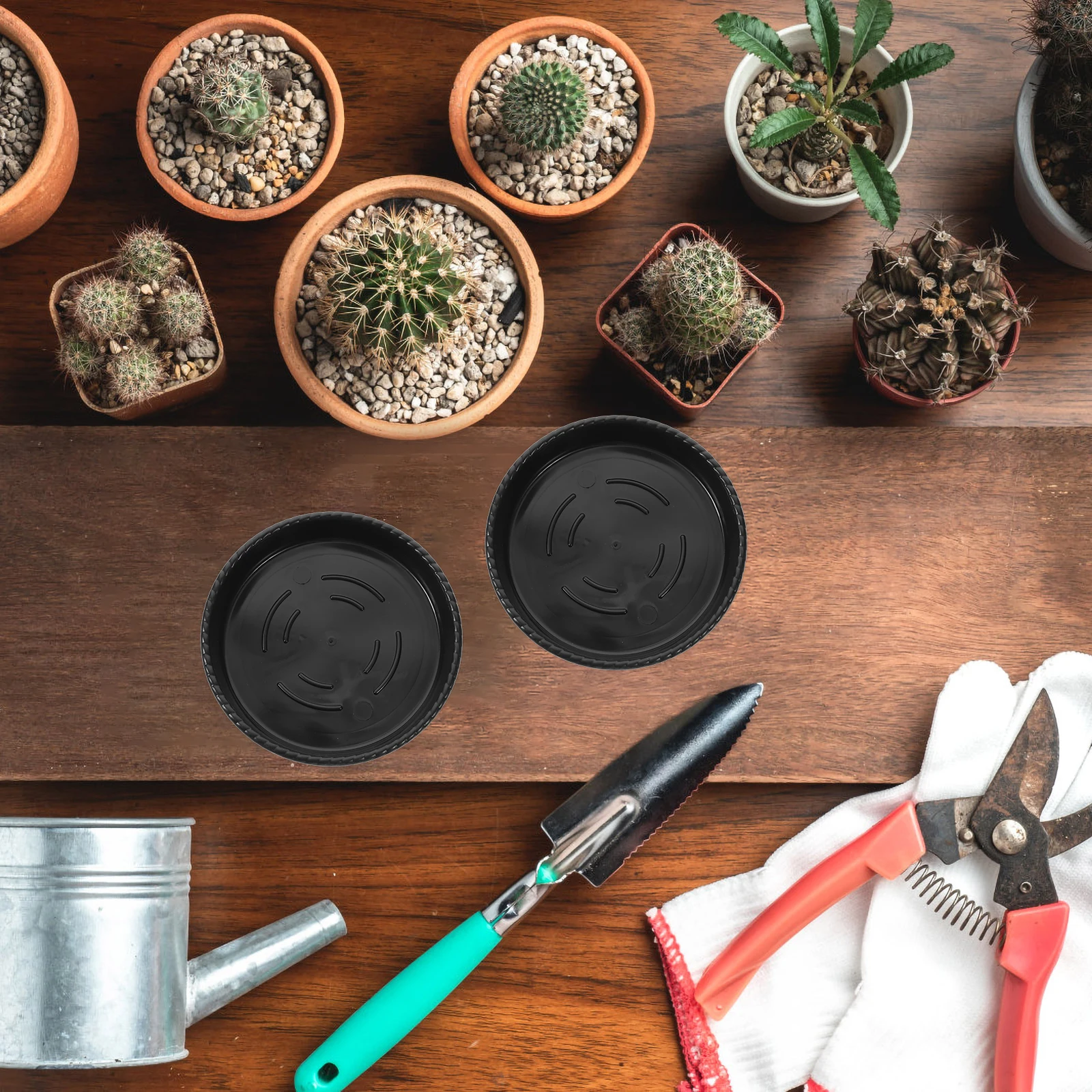 Thumbnail 3 - #22 Best Garden Pot Saucers & Trays to Buy In 2026