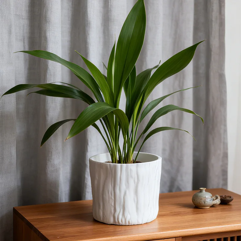 Green Plant Small Flower Imitation Bark Mini Exquisite Succulent Household Non-porous Modern Small Flower Pot Fast Delivery