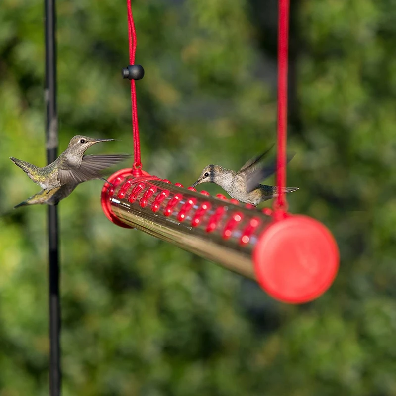 Vogel häuschen mit Loch Vogel fütterung transparentes Rohr einfach zu bedienende Vogel häuschen Dekoration