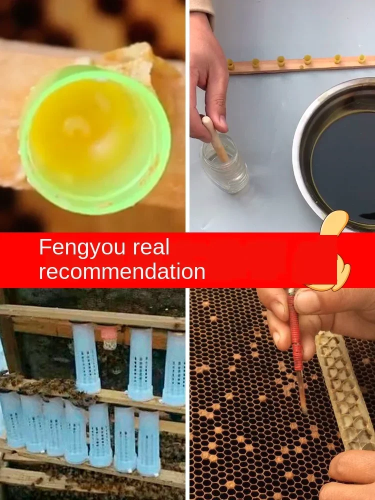 أدوات النحل Yuwang مجموعة كاملة النحل فقط الزراعة الاصطناعية الملكة يو وانغ كوانغ وانغ منصة الغطاء الواقي أداة الكتابة على الجدران