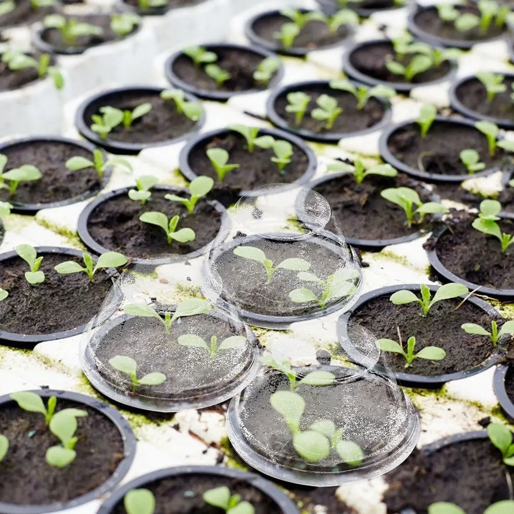 

100pcs Hydroponic Strong Anti-Freezing Durable Garden Plant Cover Soilless Hydroponic Plant Growing Lids Growing Lids