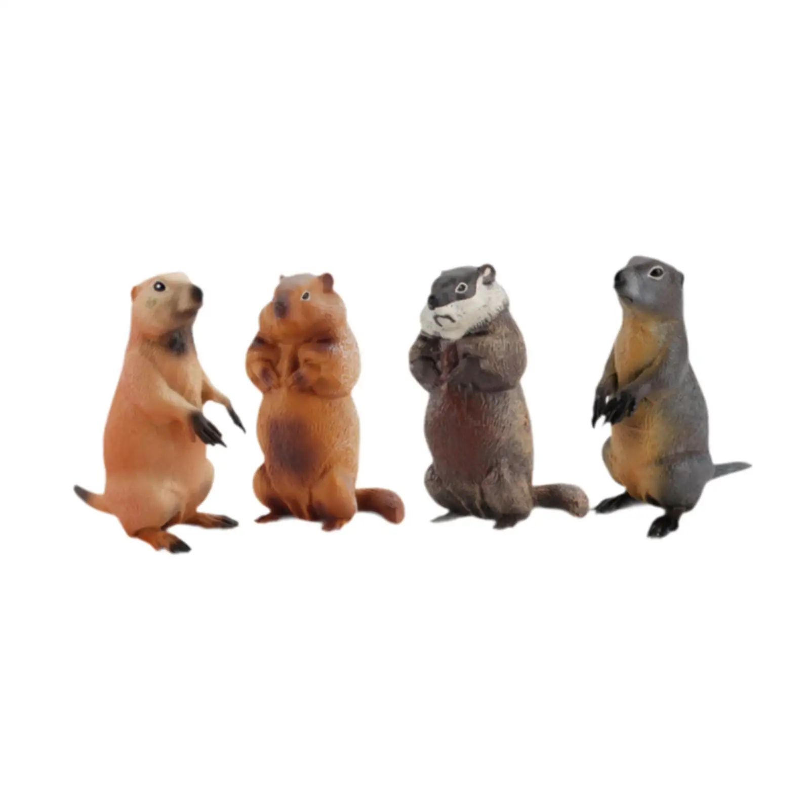 Figurines de modèle de marmottes, modèles d'animaux simulés, décor d'art, sculptures de marmottes, ornements de bureau pour enfants, 4 pièces