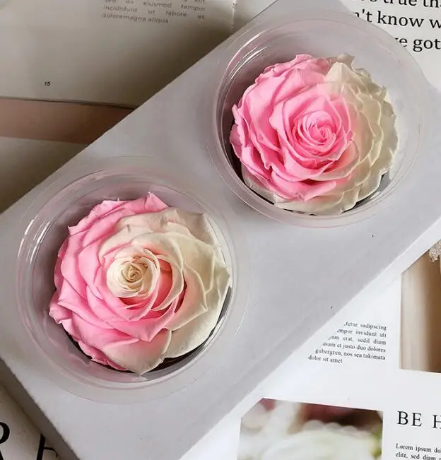 

Dried Flower Rose Everlasting Permanent DIY Gif 2 piece 7-8cm Big