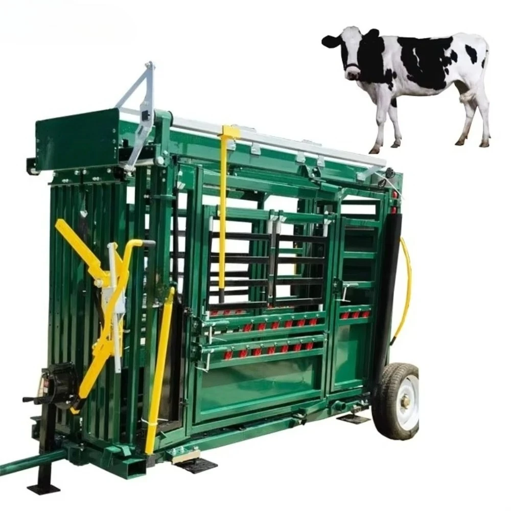 Automatic Cattle Weighing and Sorting Machine Precision Livestock Weight Scale System for Efficient Farm Herd Management