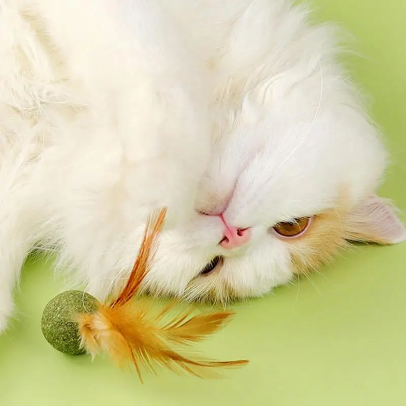 Cat Kitten Catnip Feather Ball Interactive Cat Kicker Feathers Creative Gift For Teeth Cleaning And Hair Removal Cat Toys