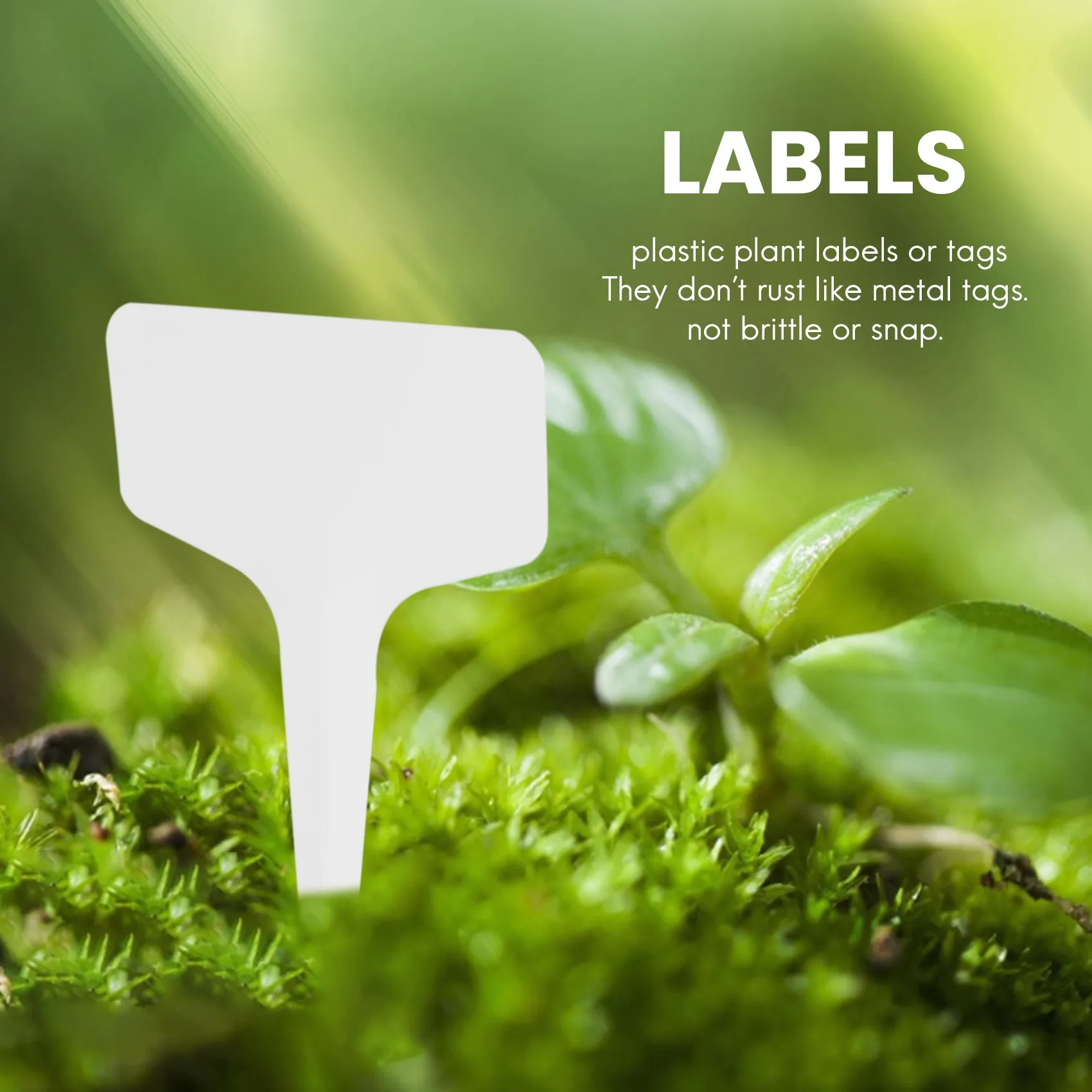 100 шт. ярлыки для сада, классификация садовых растений, ярлык для сортировки, бирка, пластиковая табличка, цвет белый