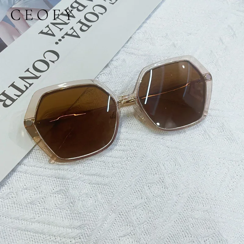 Ceofy Women Glasses Frame Fashion Optical Prescription Brand Design Sun Clip Polarized Sunglasses Polygon Eyeglasses Frame