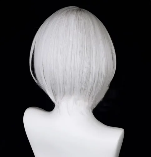 Zenless Zone Zero Anby Demara Wig Synthetic Short Straight Silvery White Braid Game Cosplay Hair Wig For Party