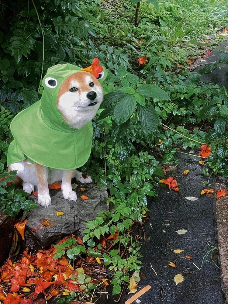 Dog Raincoat Frog Cloak Small and Medium-sized  Supplies Shiba Inu  Four-legged Hot sales