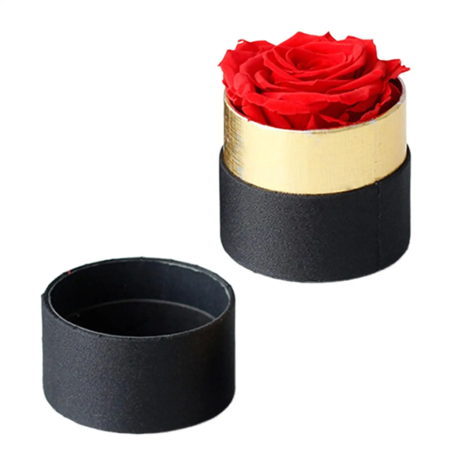 

Preserved Roses in Gift Box Eternal Flowers Preserved Flowers for Girlfriend Mothers Grandma Mom from Daughter Valentine’S Day