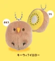 yellow kiwi
