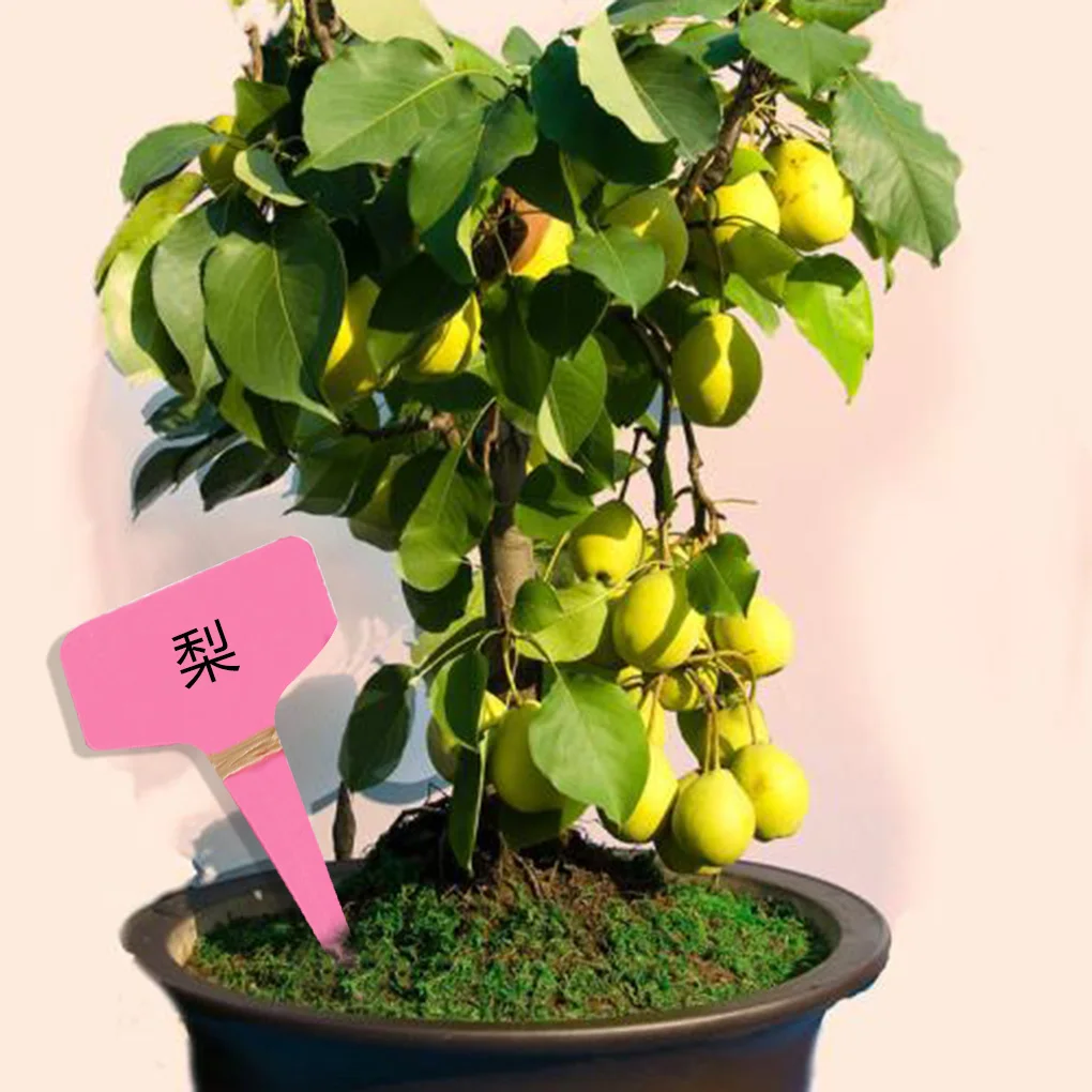 10 шт., ярлыки для сада