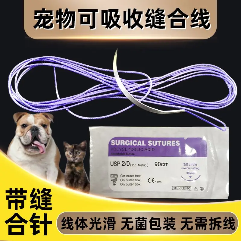 Animal sutures, surgical procedures, detachable and absorbable sheep intestines, pet sutures with suture needles, meat threads