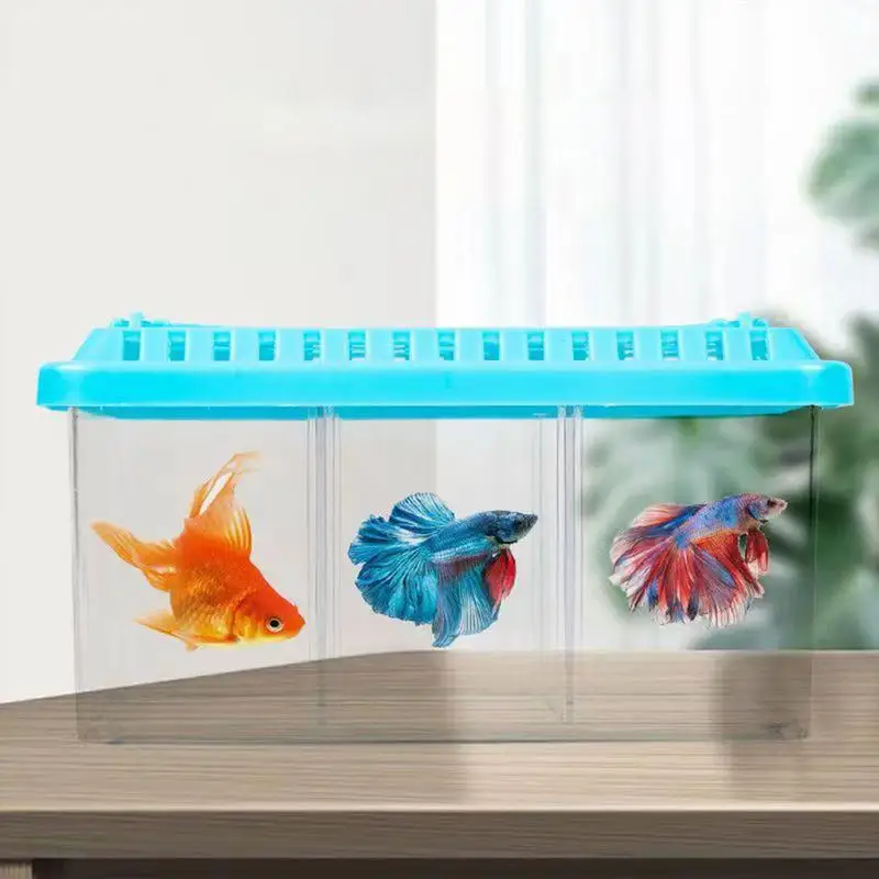 

Small Fish Tank, Removable Dividers Aquarium Starter Kit Multi Compartment Layout Acrylic Desktop Ornamental Transparent Fish