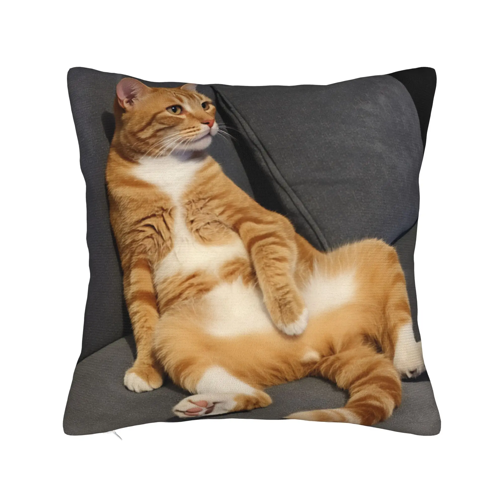 Pillow Cover Lazy Ginger Cat Lounging  Novelty Pillow Case For Sofa Home Decor Pillowcases