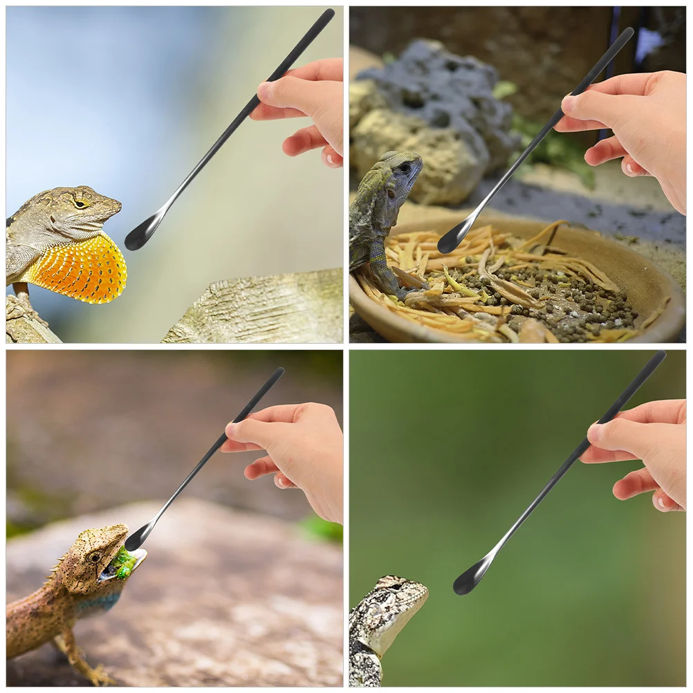 

3Pcs Reptile Food Spoon Premium Sturdy Material Lizard Feeding Tool Small Pet Scoop for Dry Wet Food Reusable Portable Pet