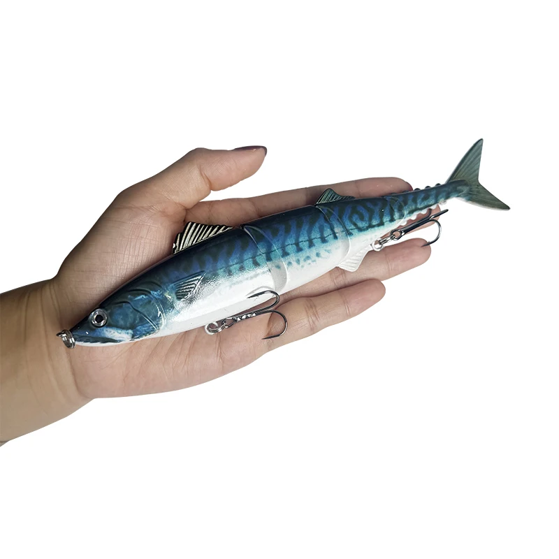 20cm55g Bionic Multi-Section Lure Fishing Baits for Sea And Freshwater Far Casting Prey Fish Universal Fishing Grounds view 4