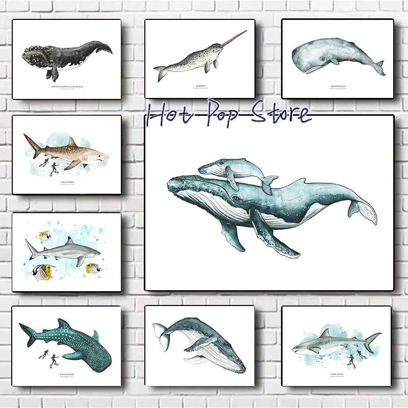 Whales And Sharks G…