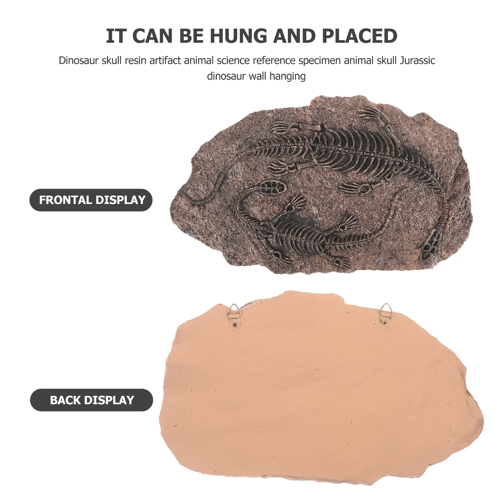 

Ancient Dinosaur Skull Ornament Handcrafted Resin Specimen for Table Adornment Science Learning Dinosaur Enthusiasts Gift