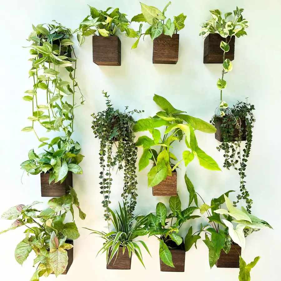 

Настенные деревянные квадратные кашпо для растений 4x4 дюйма, 12 штук, маленькие подвесные цветочные горшки для оконных балконов