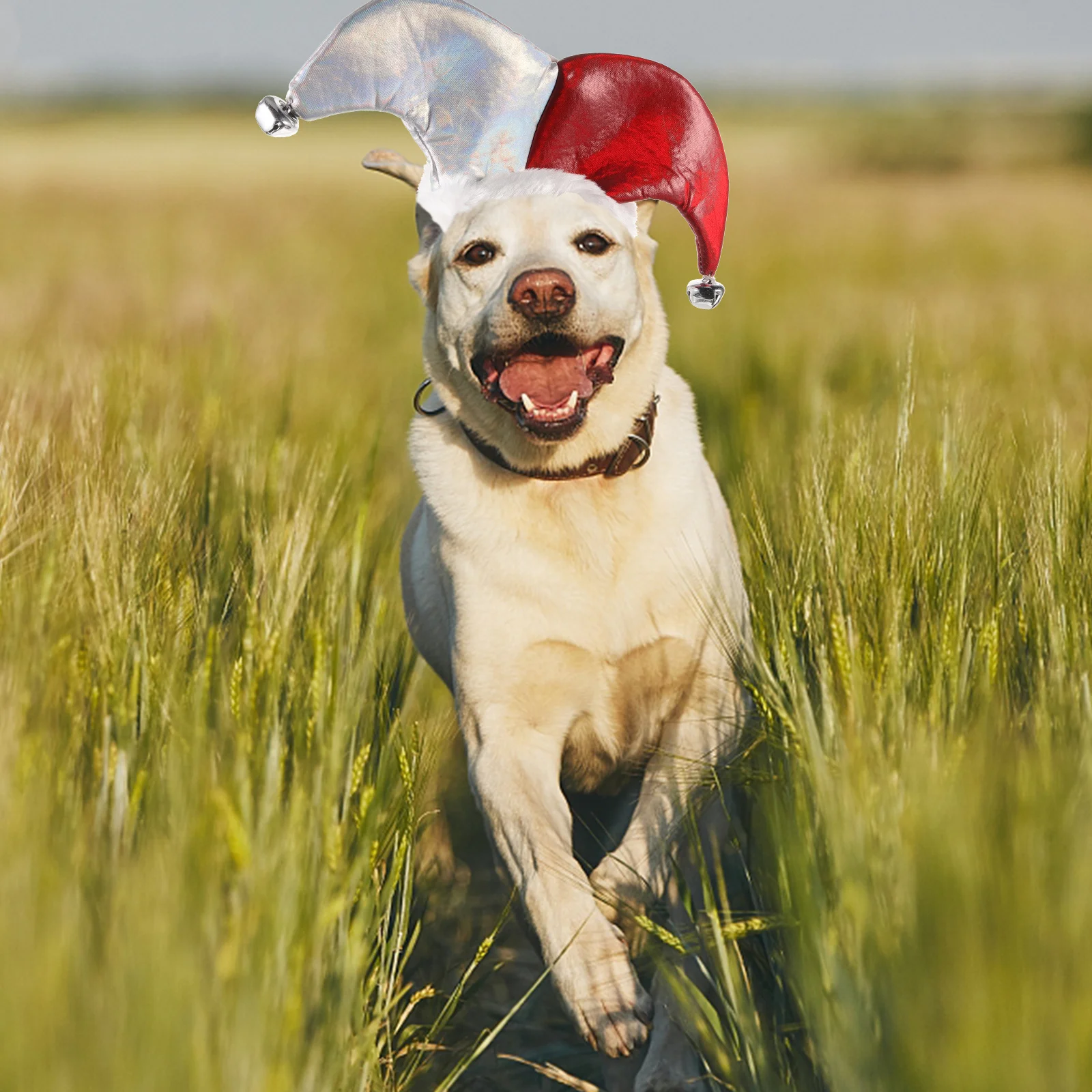 

1pcs Pet Clown Hat Funny Halloween Costume Accessory For Dog Cat Festival Party Cosplay Decorative Headdress Lightweight