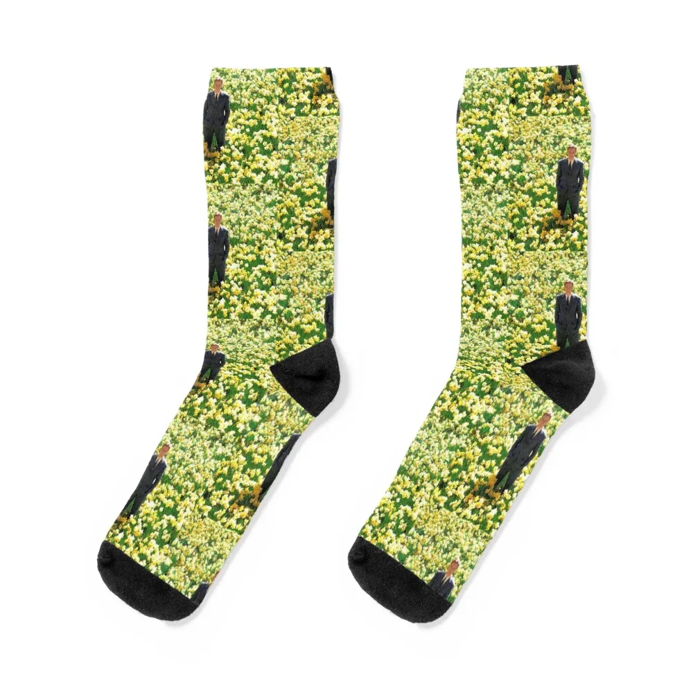 

Big Fish: Ewan McGregor in Daffodils Socks Novelties christmass gift Soccer Male Socks Women's