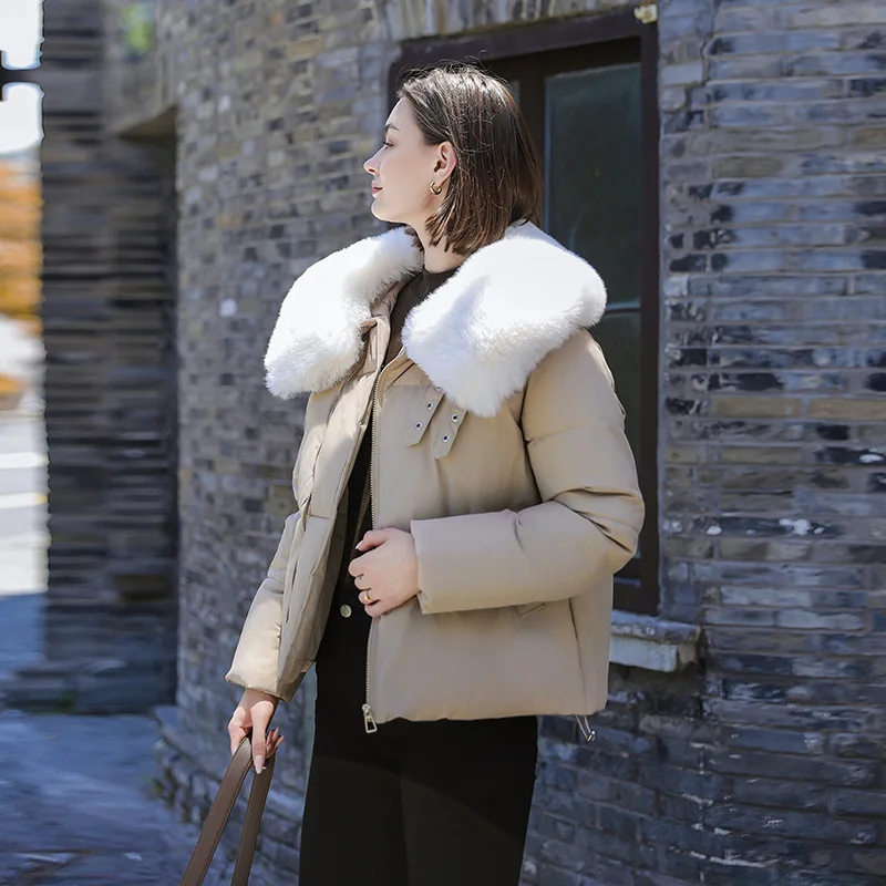 Veste Rembourrée en Coton pour Femme, Manteau à Grand Col en Laine, Optique Courte, Nouvelle Collection Automne et Hiver 2024