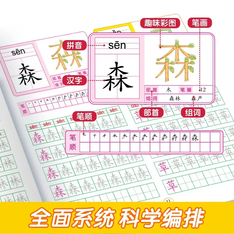 Preschool 300 Words Highlighted in Red, Bridging The Gap Between Primary and Secondary Education, Intellectual Development