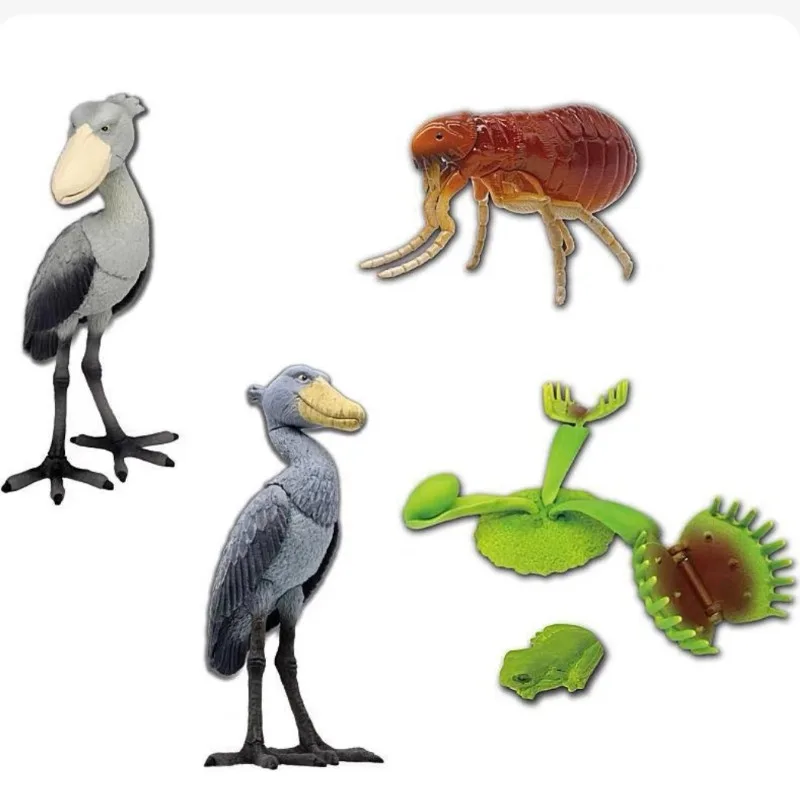 Original Gashapon Cute Anime Capsule Toys Wonderful Creature Shoebill Corpse Flower Flea Figurine Kawaii Action Figure Gift