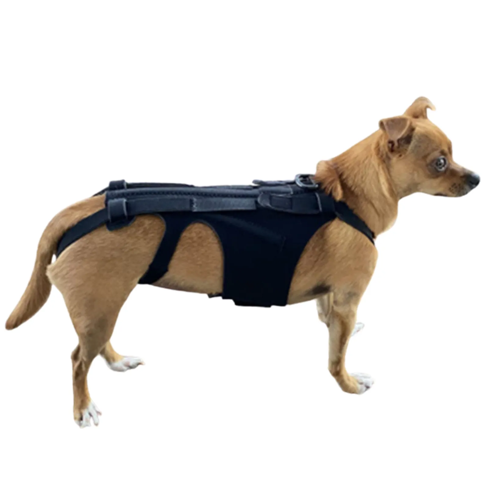 Back Brace For Dogs Breathable Pet Back Bracer For IVDD Back Support Rehabilitation Easy To Wear And Off Black