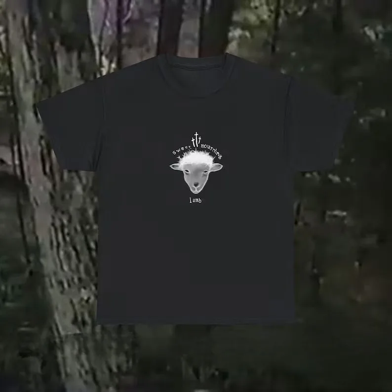

Свитшоты Ethel Cain Merch для косплея, модная уличная одежда для женщин и мужчин, забавный свитшот, спортивный топ