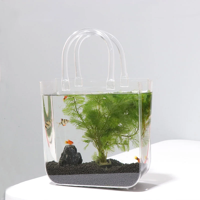 Imagem -05 - Giemza Fish Tank Vase Jardiniere Round Bolsa Praça Bucket Bags Acrílico Tote Online Celebridade Moda Street Shooting Decorações