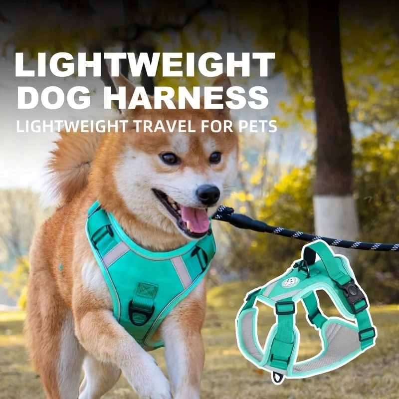 Thumbnail 4 - #10 New Dog Car Safety Harnesses Arrivals