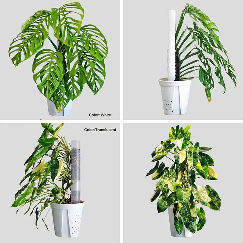 Moss Pole Monstera Plant Support 17 Inches Stackable Moss Pole For Plants Indoor Climbing Plant Stand Transparent Monstera Plant